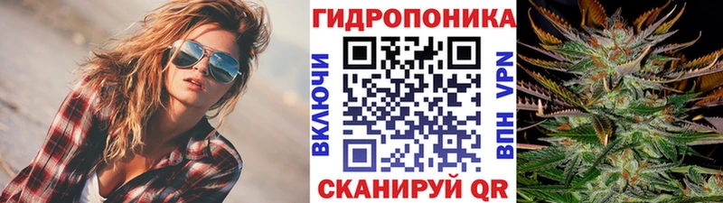 купить  цена  Могоча  Бошки Шишки конопля 